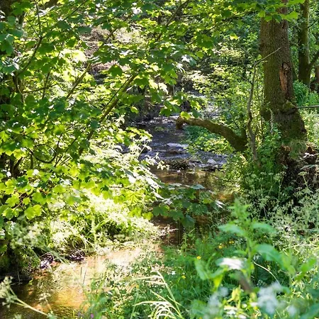 Feriehus 6 Bed In Sz151