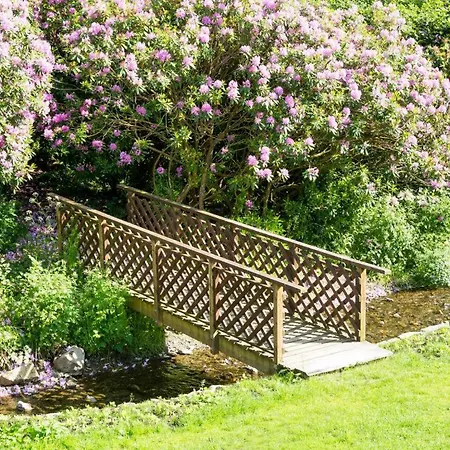 6 Bed In Sz151 Lamplugh