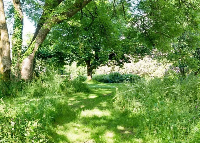 6 Bed In Workington Oc-sz151 *