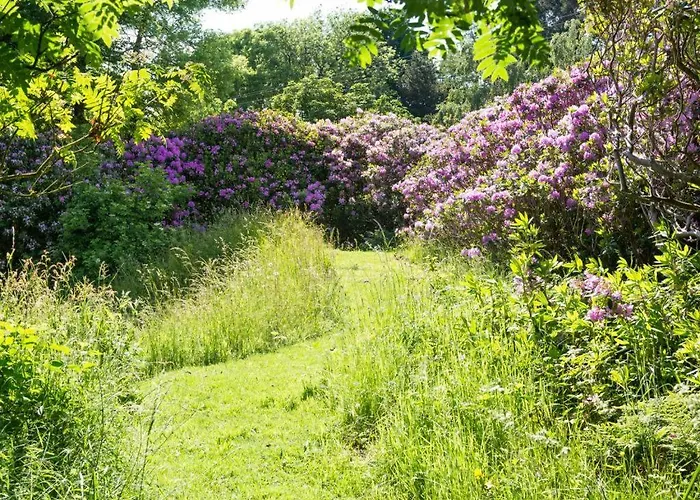 6 Bed In Workington Oc-sz151